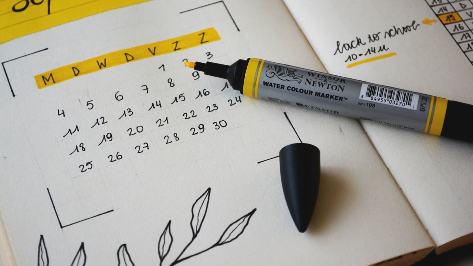 Calendly vs. Acuity vs. Cal.com: Choosing Your Scheduling Tool
